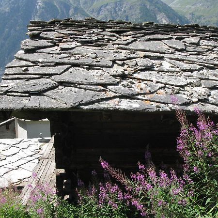 Alpia 26 - Zwei Zimmerwohnung In Traditionellem Walliser Haus Gasenried Eksteriør billede