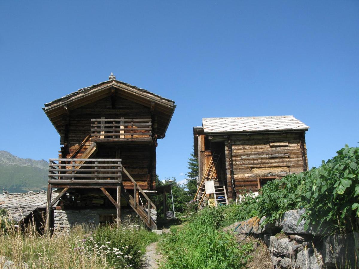 Alpia 26 - Zwei Zimmerwohnung In Traditionellem Walliser Haus Gasenried Eksteriør billede